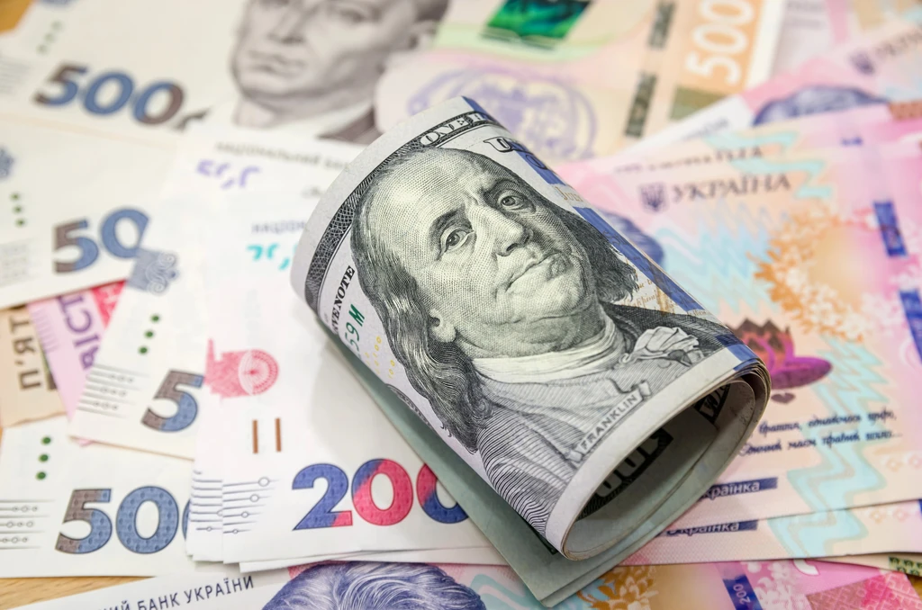 Що відбувається з курсом валют і чого очікувати у 2026 році – економіст
