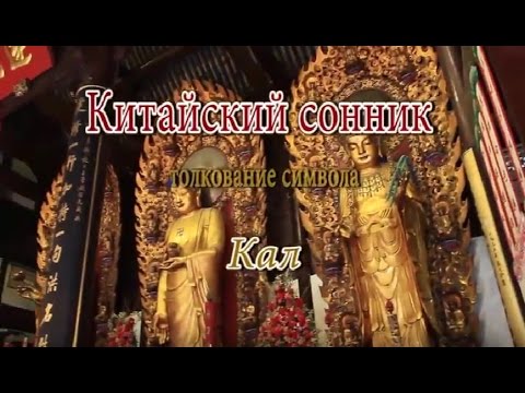К Чему Снится Кал Женщине: Толкования и Значения