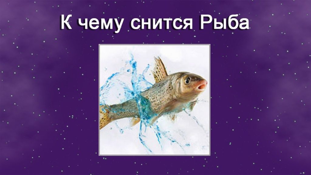 К Чему Снится Рыба: Толкования и Значения Во Снах