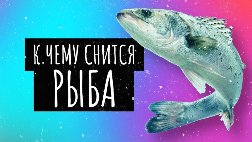К Чему Снится Рыба: Толкования и Значения Во Снах
