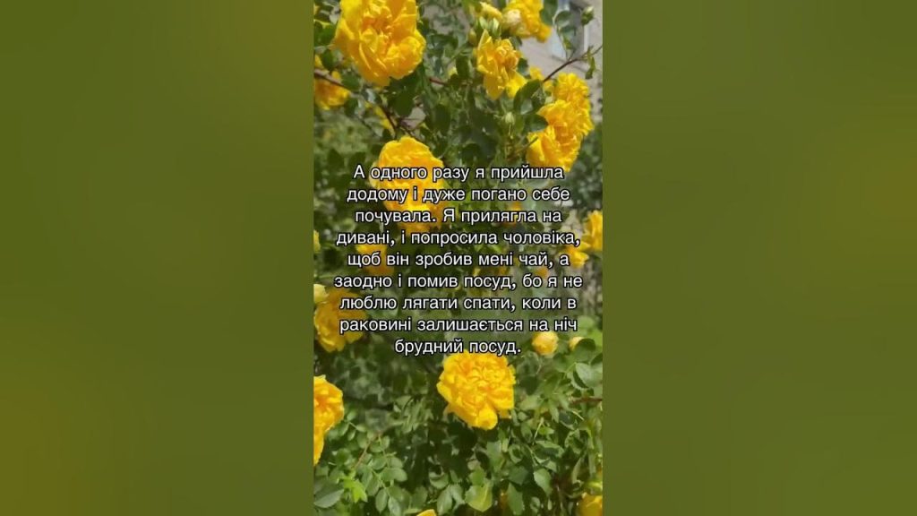 Колишній Чоловік Квіткової: Біографія, Особисте Життя і Кар'єрний Шлях