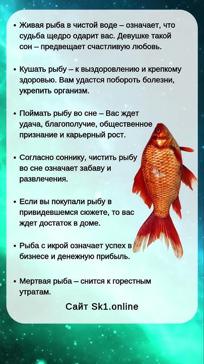 К Чему Снится Рыба: Толкования и Значения Во Снах