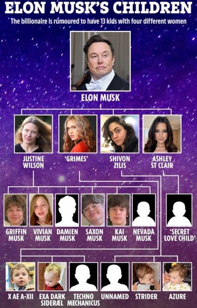 Скільки Дітей У Ілона Маска: Повний Огляд Сімейного Життя І Поколінь