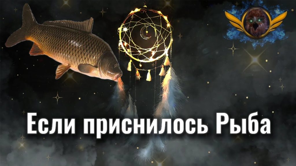 К Чему Снится Рыба: Толкования и Значения Во Снах