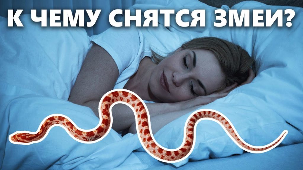 К Чему Снится Змея: Толкование и Значение Сновидения