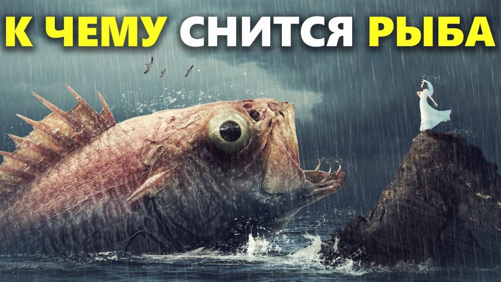 К Чему Снится Рыба: Толкования и Значения Во Снах